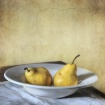 Yellow Pears #2