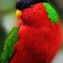 2The Rainbow - ID: 10097184 © Kathy Salerni