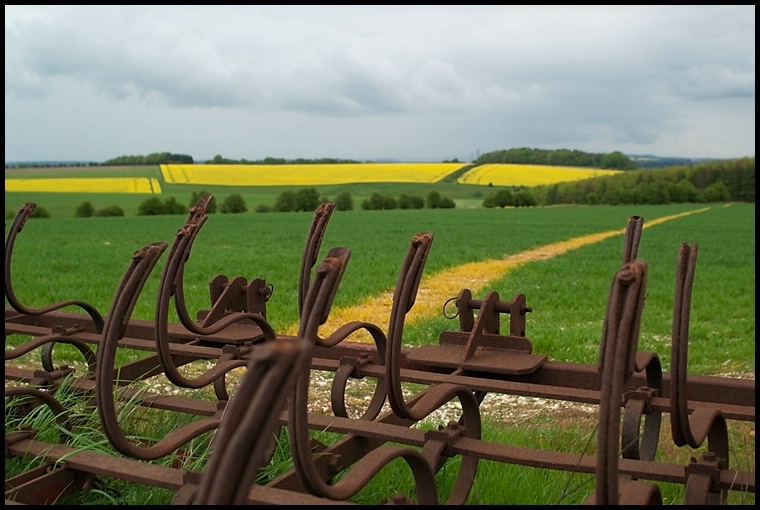 Plough and Fields