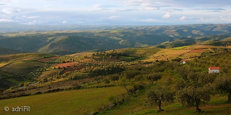 Algoso's Valley