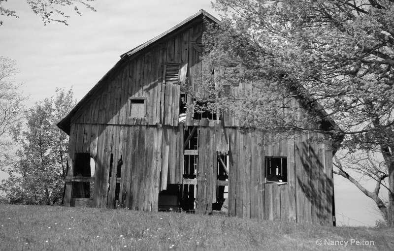 Old Barn on the Hill