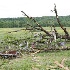 © Robert M. Cooper PhotoID # 10101469: Van Buren County Arkansas