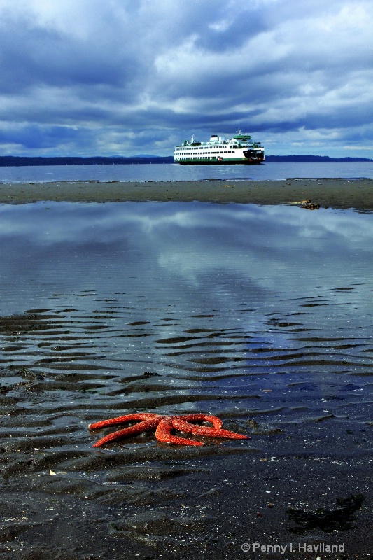 Low Tide