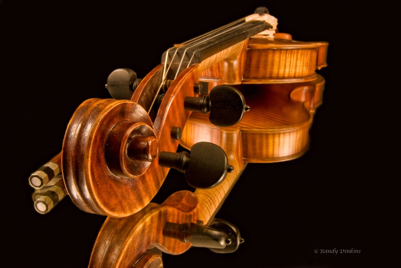 Violin Reflections