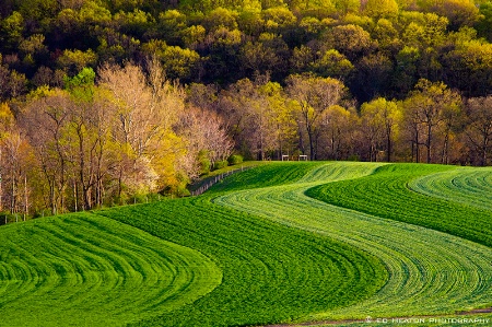 Crop Lines