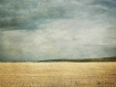 along the way..