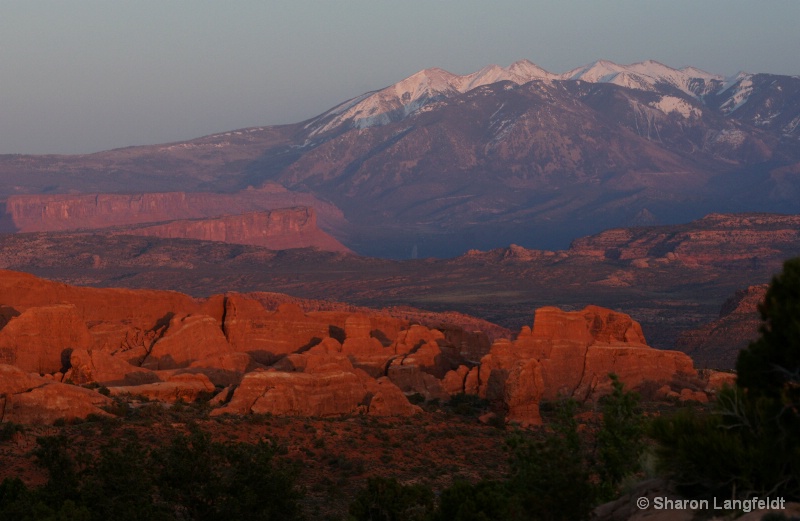 La Sal Mountains At Sunset - ID: 10113819 © Sharon L. Langfeldt