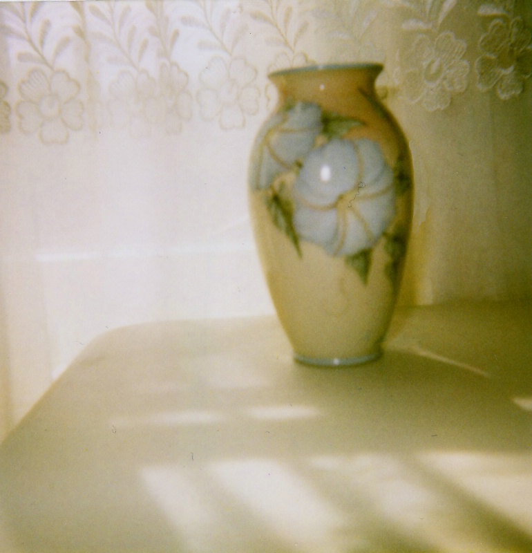 polaroid 600 vase e1