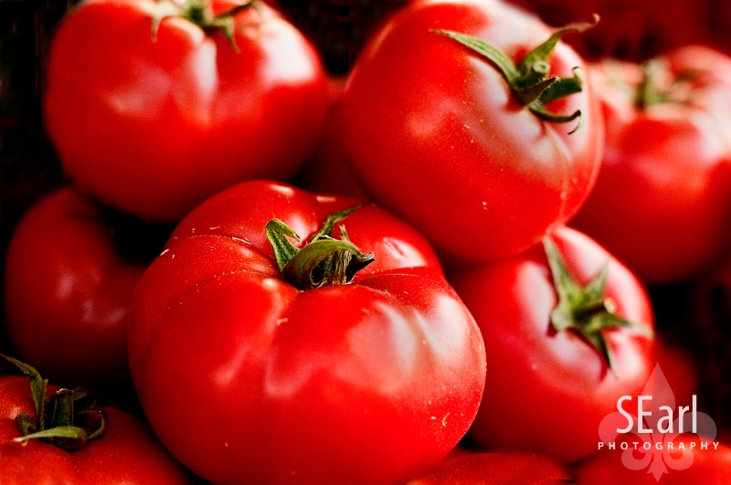 Tomatoes From My Market  - ID: 10115845 © Shelia Earl