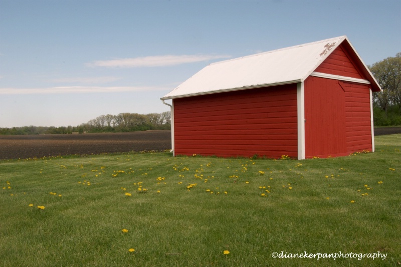 Little Red Shed