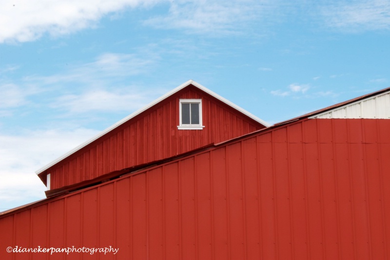 Roof Lines