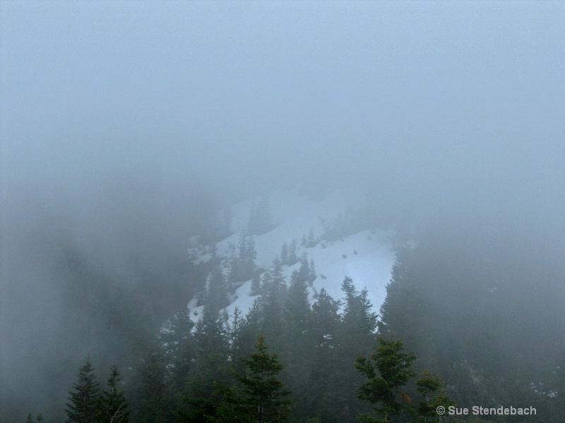 Descending into Fog, Wagner Butte Trail, OR - ID: 10123381 © Sue P. Stendebach