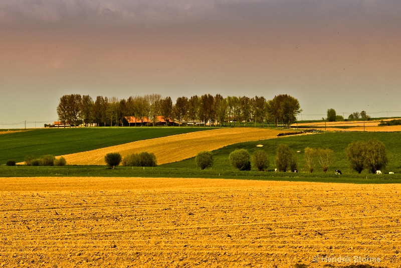 Fields and green