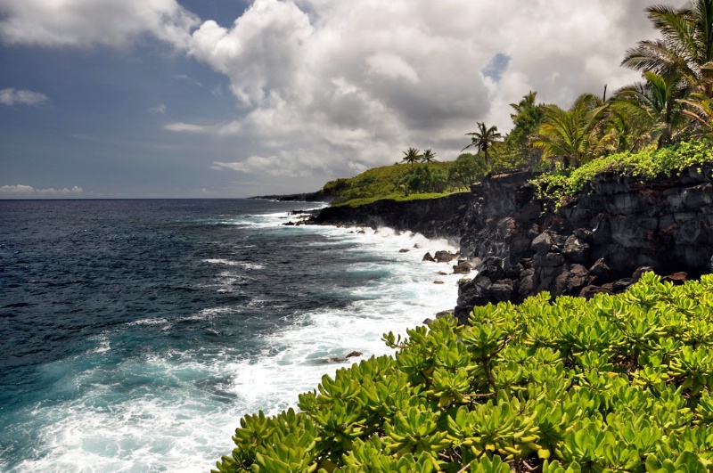 Puna Coast