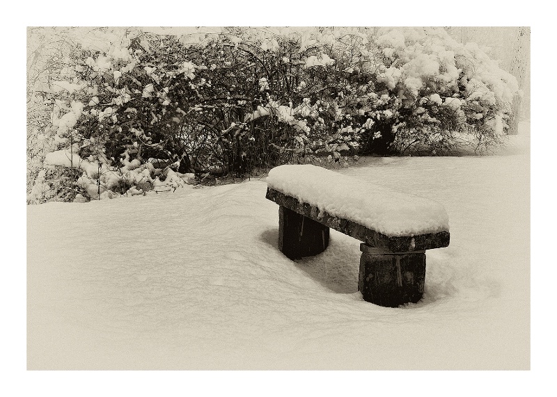 "Winter Solitude", Phoenecia, NY