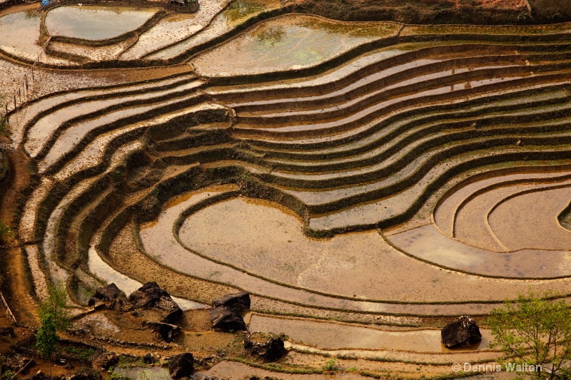 sapa terraces  2 