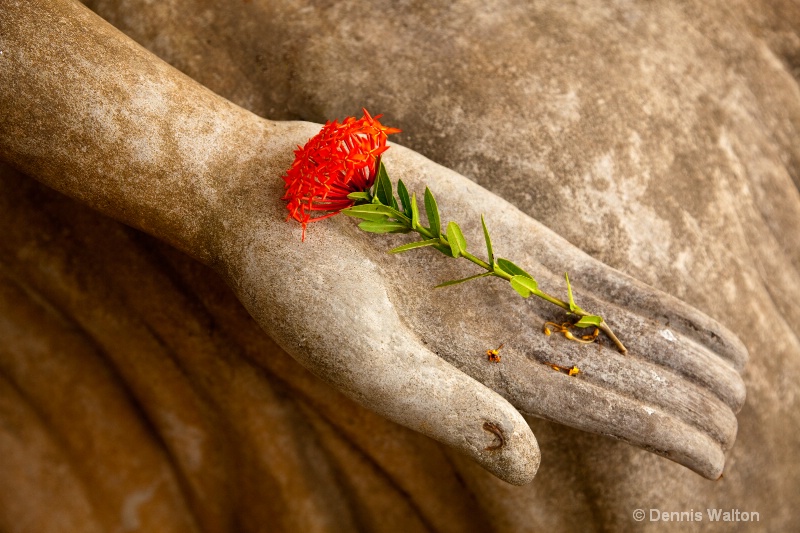 buddha hand flower