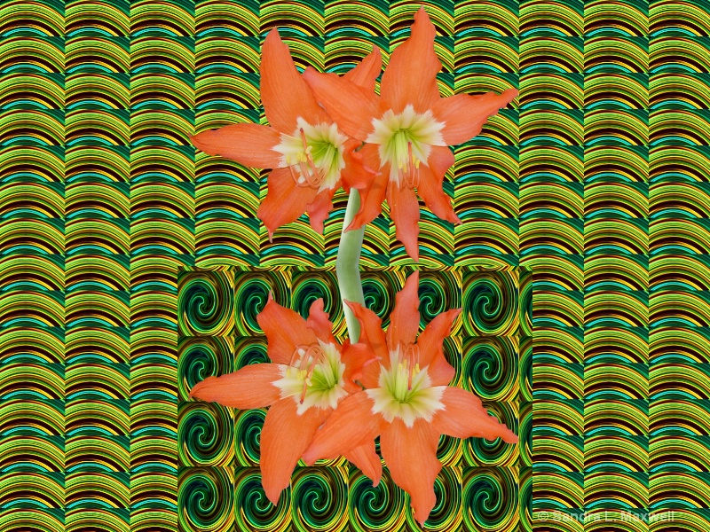 Flower power@cut out a flower and mirrored it to t