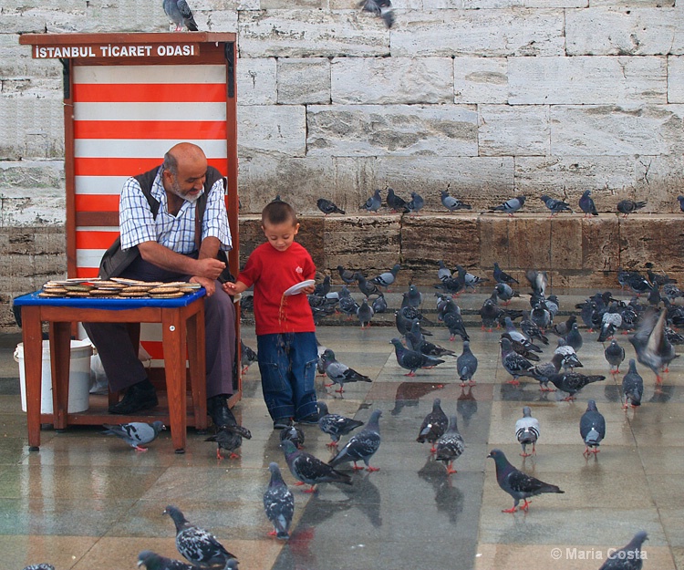 Istanbul boy and grandfather feeding pigeons