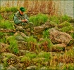 In his element
