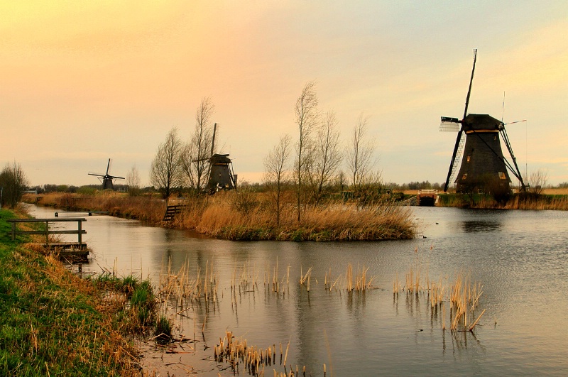 Souvenir from Kinderdijk.