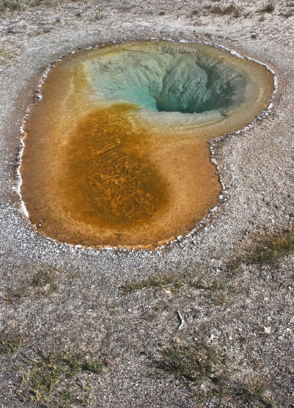 11 Ear Pool - ID: 10162558 © Patricia A. Casey