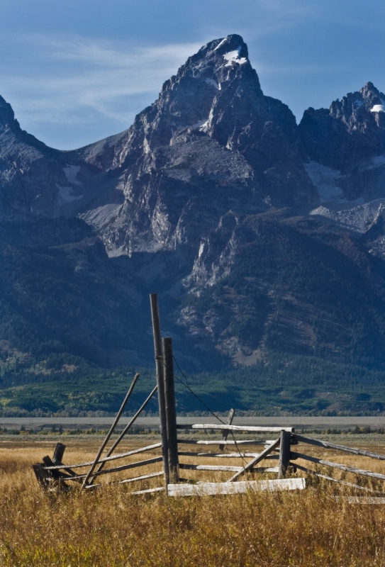 12 Lone Fence - ID: 10163854 © Patricia A. Casey