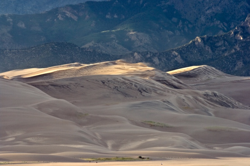 24 Great Sand Dunes and Sagre de Christo Mtns - ID: 10164192 © Patricia A. Casey