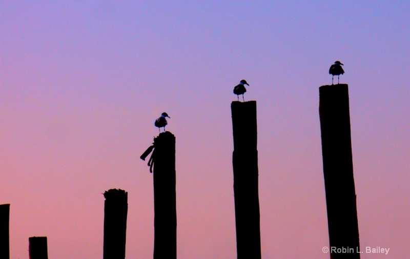 Stag-Poles