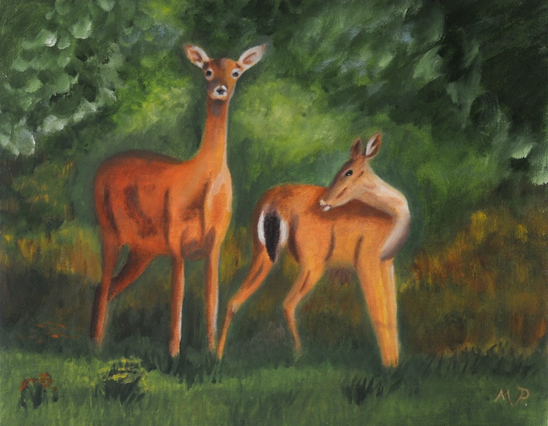 Backyard Deer - Oil 14"x18"