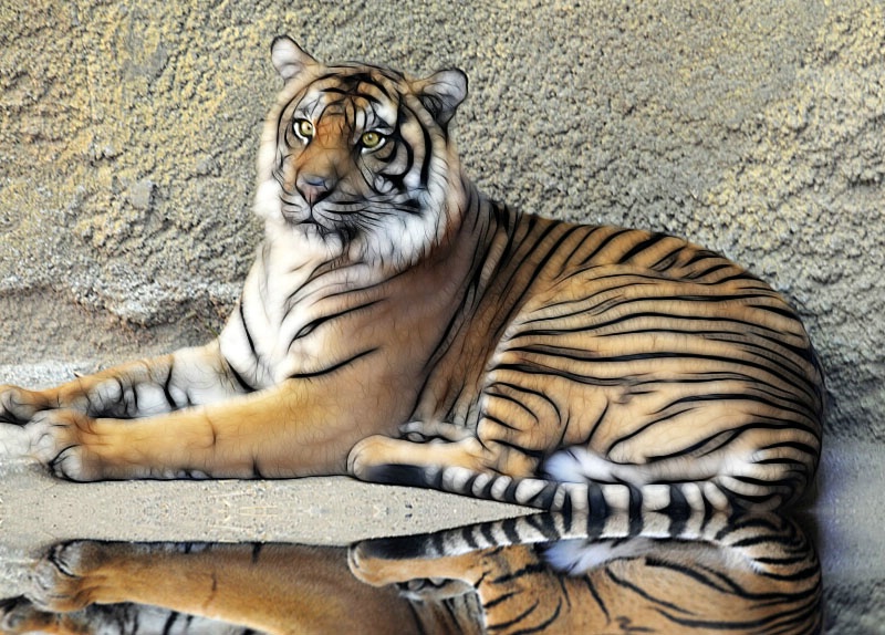Hint of Reflection - ID: 10167851 © Kathy Salerni