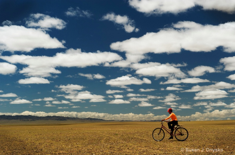 Herding in Mongolia