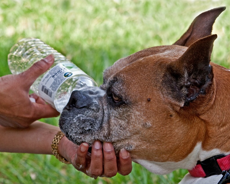 water on the go