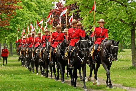 RCMP Musical Ride group