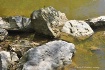 Rocks in the Lake
