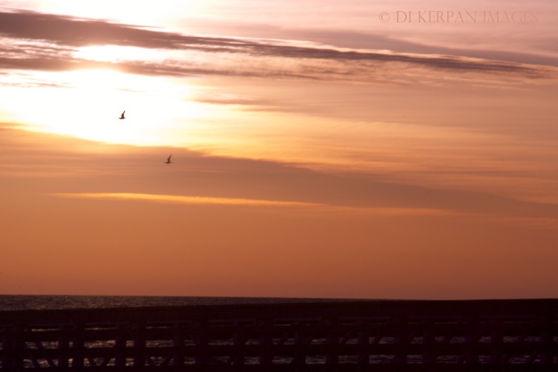 sunrise