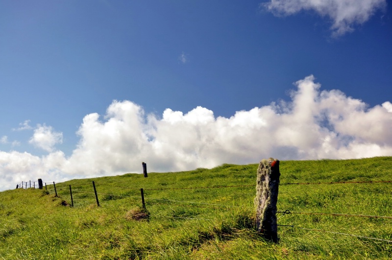 Kohala Fence