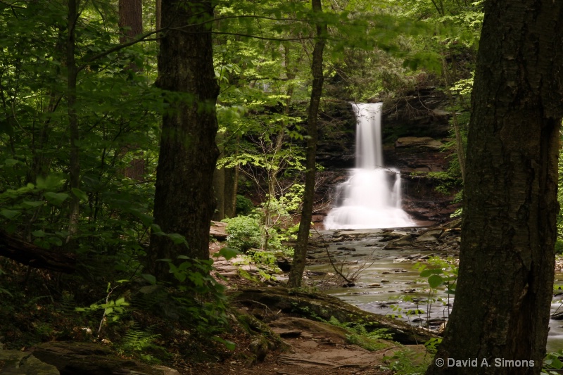 Sheldon Reynolds Waterfalls