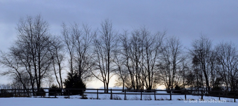 Winter Trees, Culpepper, VA - ID: 10184164 © Sue P. Stendebach