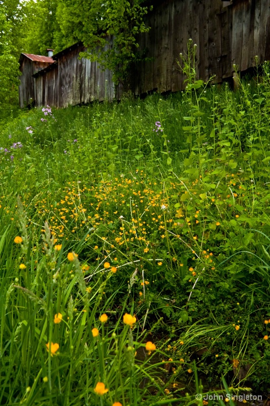Country Spring - ID: 10184179 © John Singleton