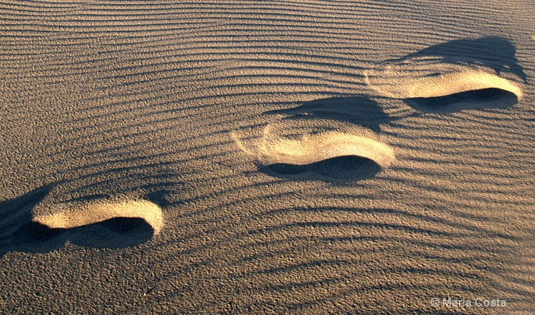 Three Footsteps in the sand