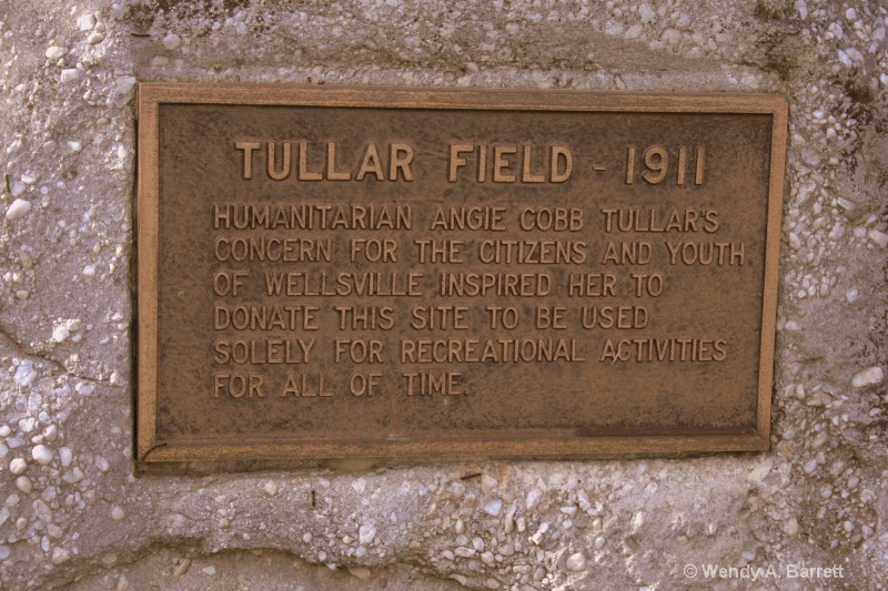 Tullar Field - ID: 10189885 © Wendy A. Barrett