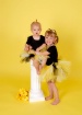 Bumble Bees
