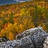2Dolly Sods Wilderness  d700 1370 - ID: 10191590 © Joseph D. Hancock