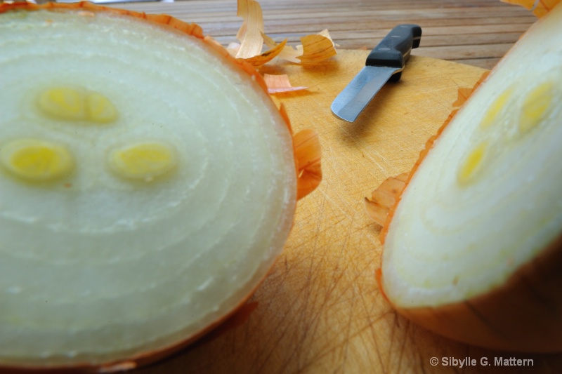 food series : giant onion - ID: 10194493 © Sibylle G. Mattern