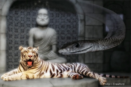Tiger Buddha and Snake