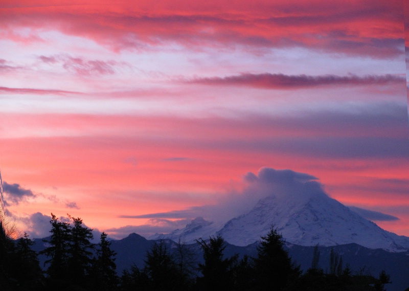 Mt. Rainier in the Morning