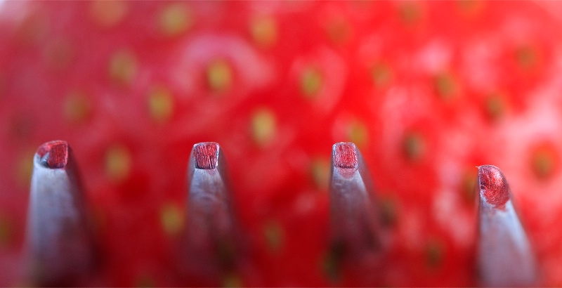 <b>Fork Through Strawberry</b>