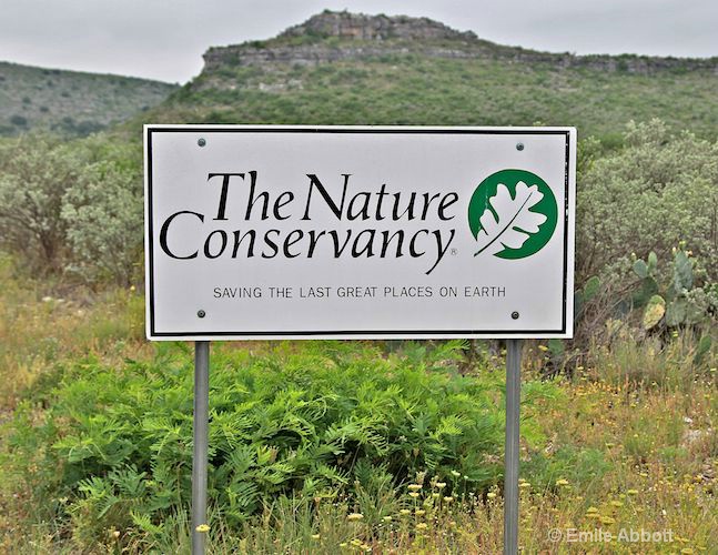 The Nature Conservancy - ID: 10219847 © Emile Abbott