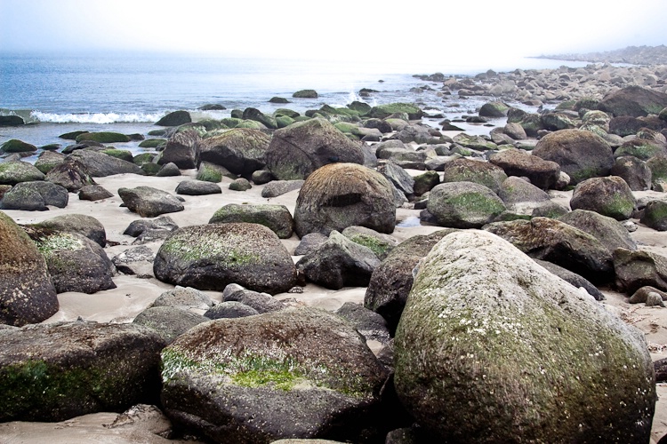 Rocks on the Shore at Morro Bay